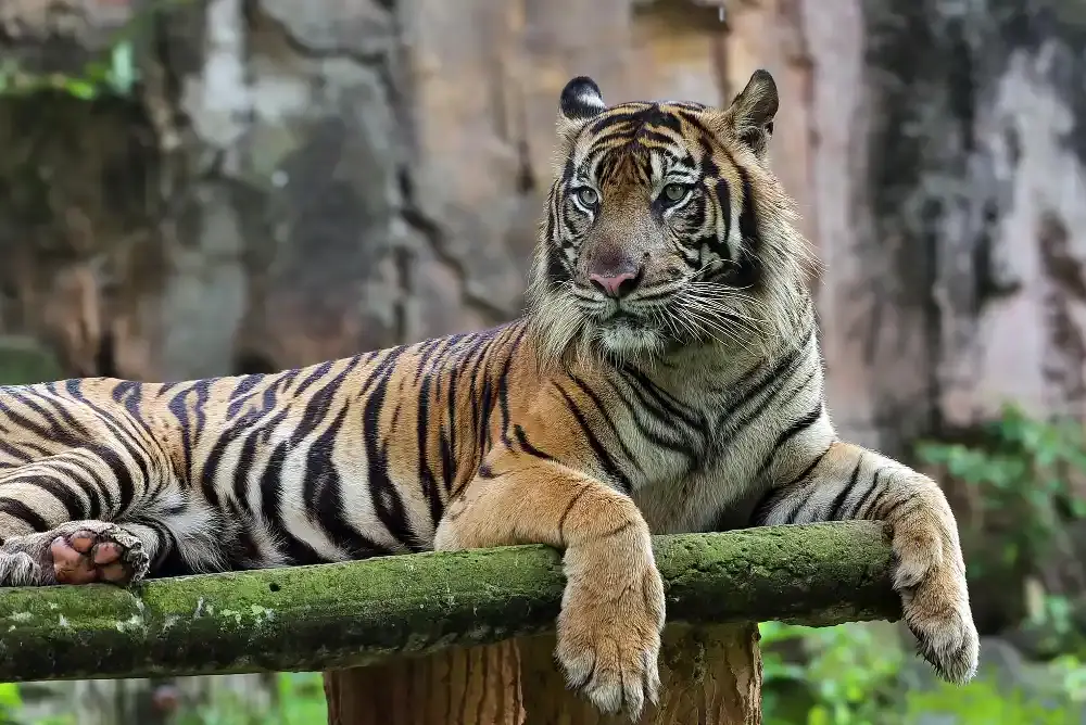 Dhaka Zoo - Top 10 Dhaka's Park
