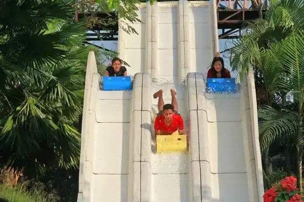 fantasy kingdom ride multi-slide