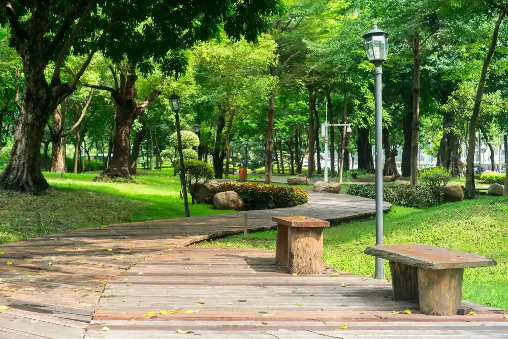 Zinda Park - Top 10 parks in Dhaka City